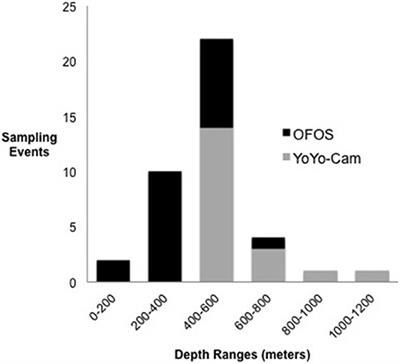 Compositional Differences in the Habitat-Forming Bryozoan Communities of the Antarctic Shelf